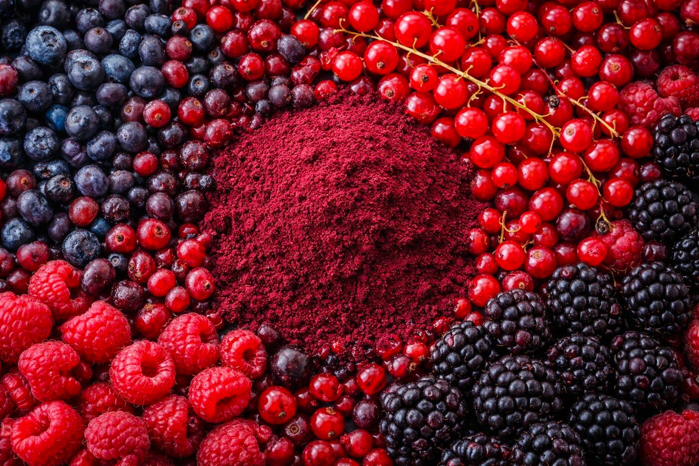 Red: <strong>Beerenkraft</strong> & Polyphenole
