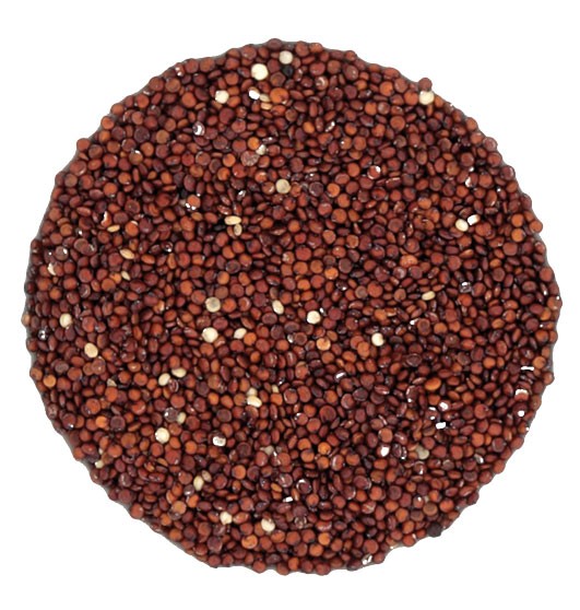 media/image/Quinoa-Top.jpg
